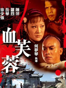 66精品综合久久久久久久